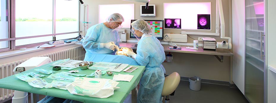 En salle d'operation - Implantologie basale et crestale